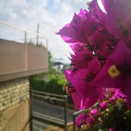 Hotel Fiascherino Hotel 3*