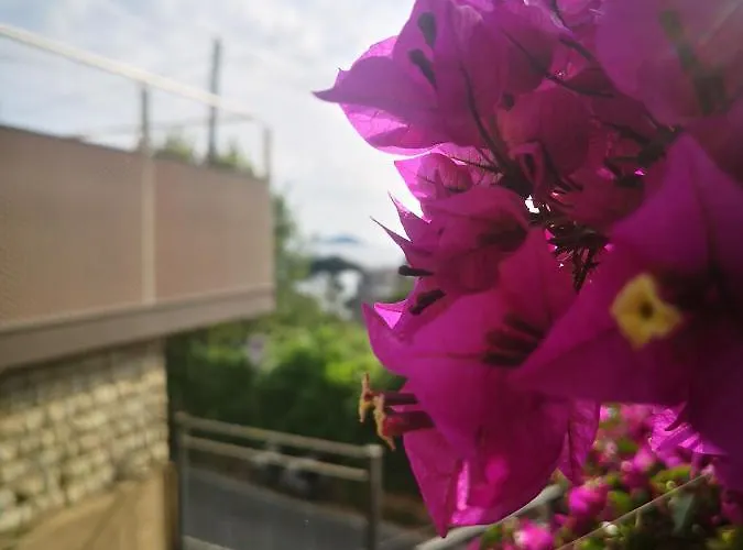 Fiascherino Hotel 3*